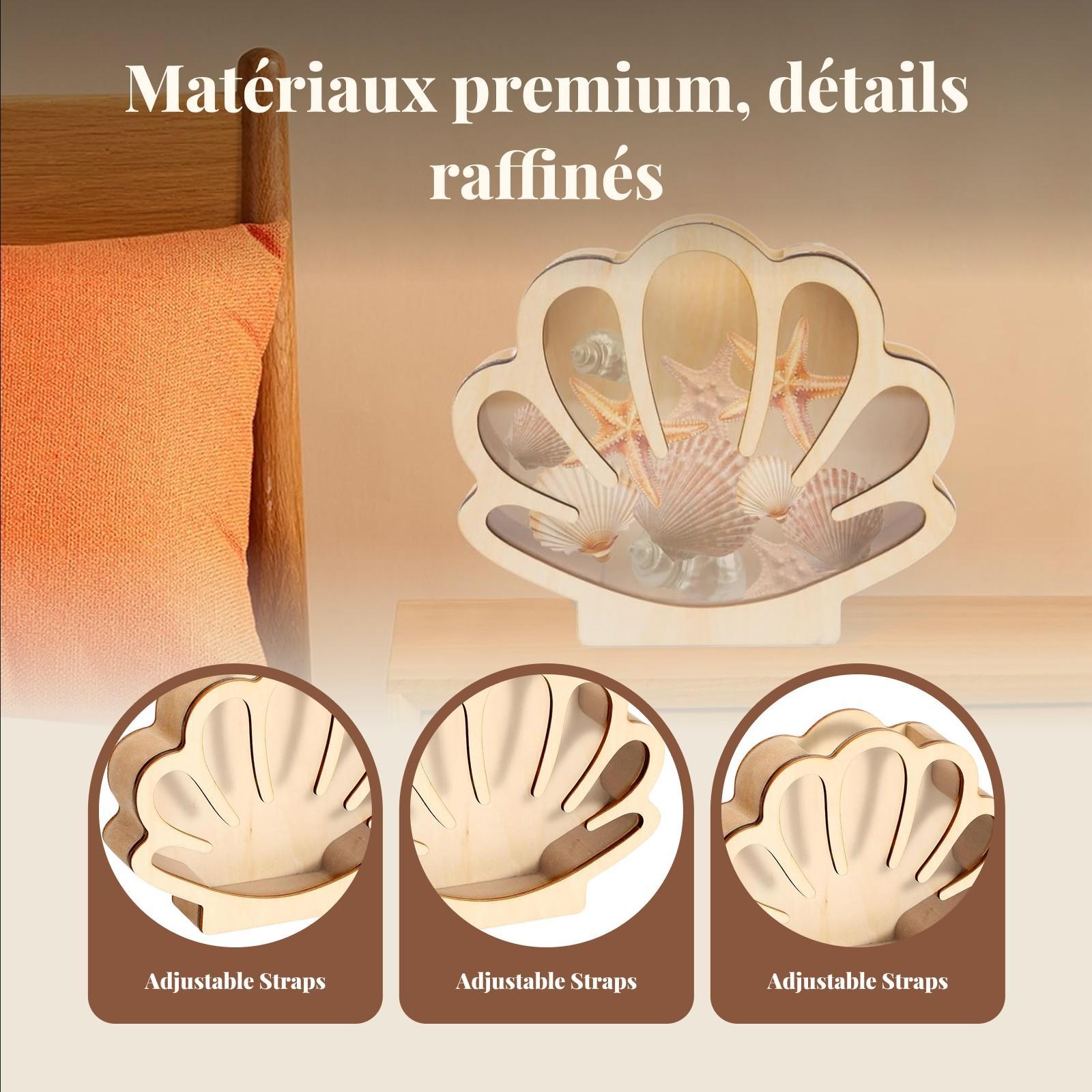 Wooden Shell Display Box Colle - Collectors Coins Jewelry & Watches Of Smithtown Photos 评论和价格
